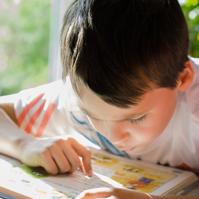 [Translate to English:] Ein Junge im Grundschulalter liest in einem Buch.